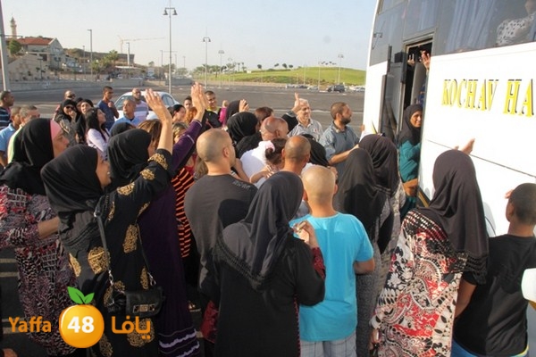 7ojaj plane 102 (29) (Copy).JPG